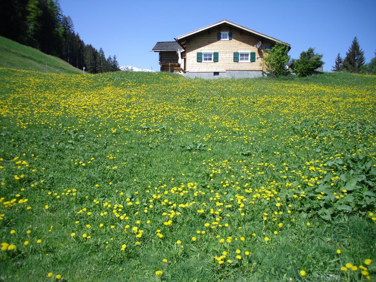 Maisaess Lifinarblick Villa Schruns Kültér fotó