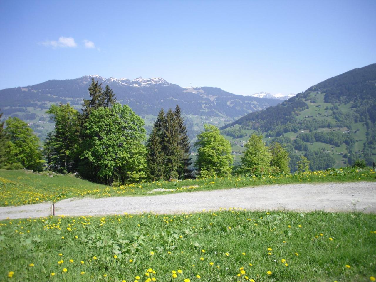 Maisaess Lifinarblick Villa Schruns Kültér fotó